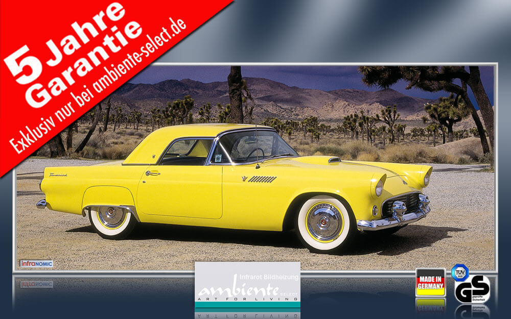 infrarot bildheizung ford thunderbird 140 x 60 cm