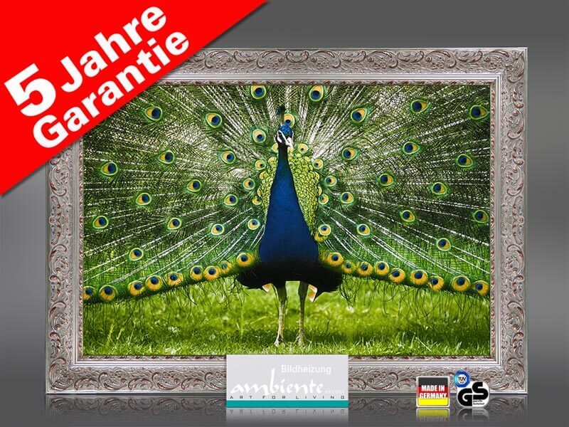 infrarot bildheizung pfau schlaegt rad